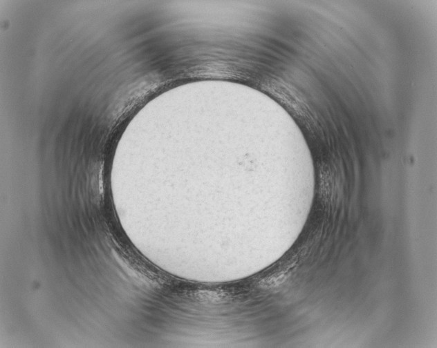 X0000087390302200705111807