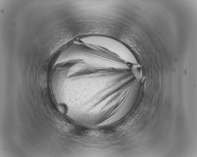 X0000087390303200705111807