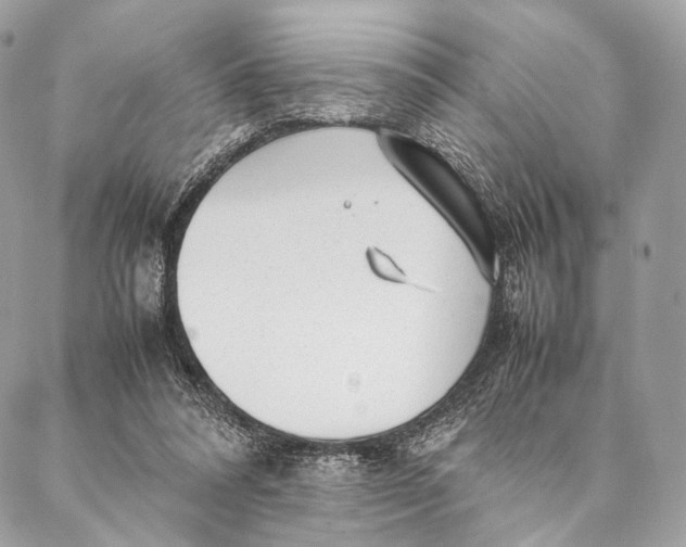 X0000087390304200705111807