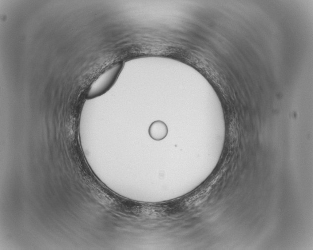 X0000087390305200705111807