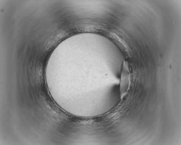 X0000087390306200705111807