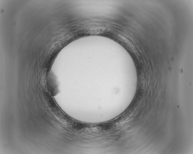 X0000087390307200705111807