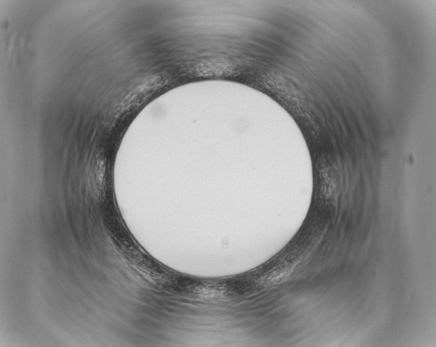 X0000087390308200705111807