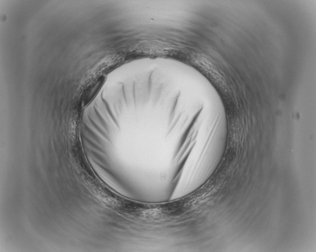 X0000087390309200705111807