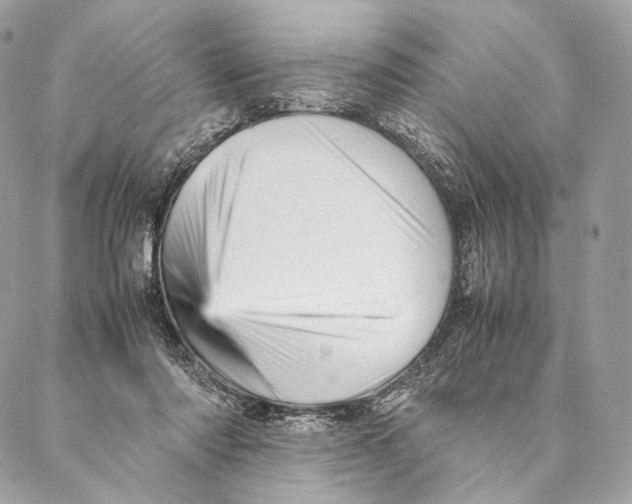 X0000087390310200705111807