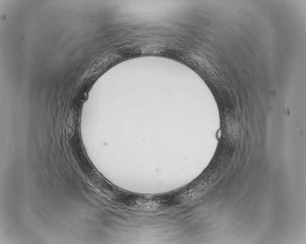 X0000087390311200705111807