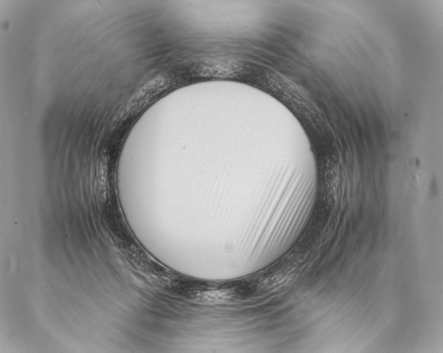 X0000087390312200705111807