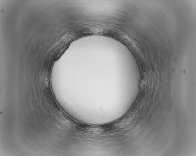 X0000087390313200705111807