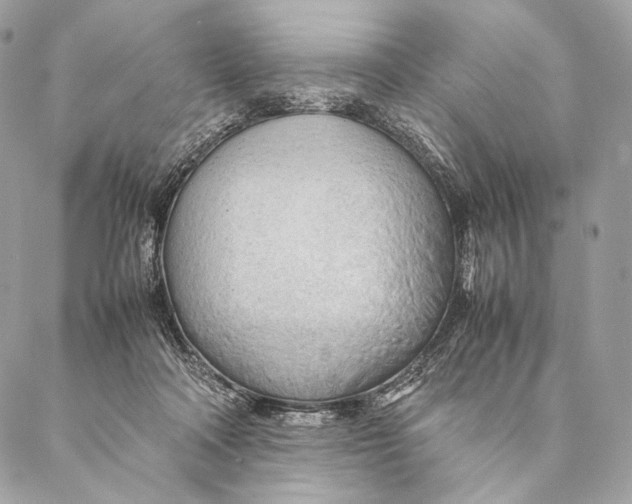 X0000087390314200705111807