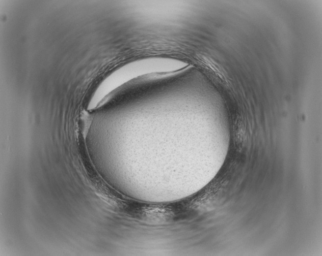 X0000087390315200705111807