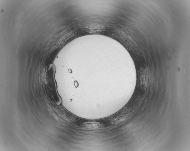 X0000087390316200705111807