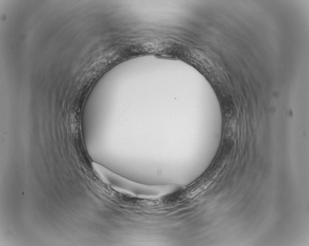 X0000087390317200705111807