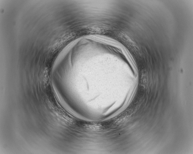 X0000087390318200705111807