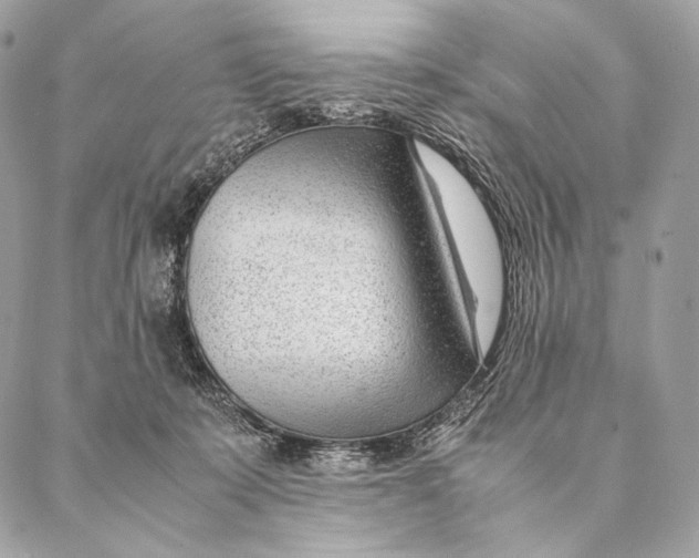 X0000087390319200705111807