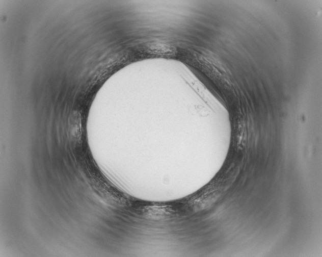 X0000087390320200705111807