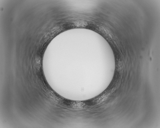 X0000087390321200705111807