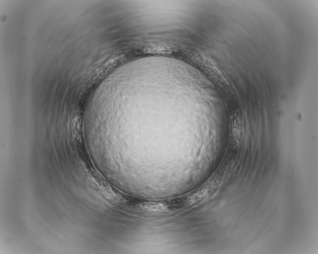 X0000087390322200705111807