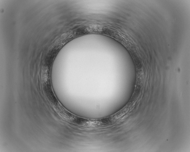 X0000087390323200705111807