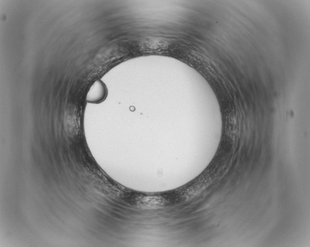 X0000087390324200705111807