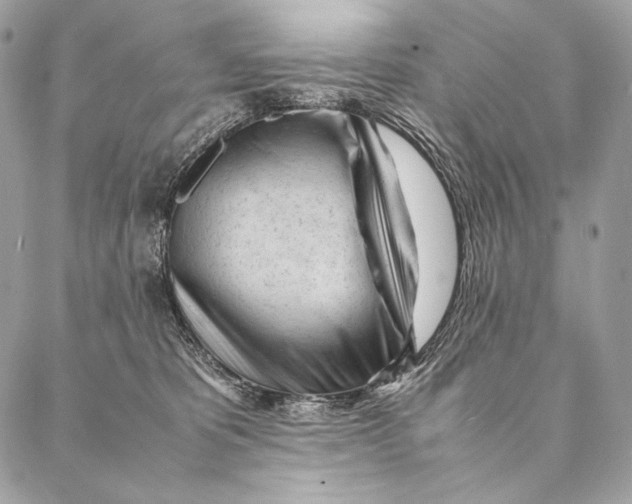 X0000087390325200705111807