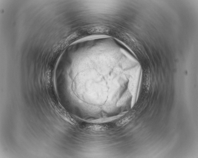 X0000087390326200705111807