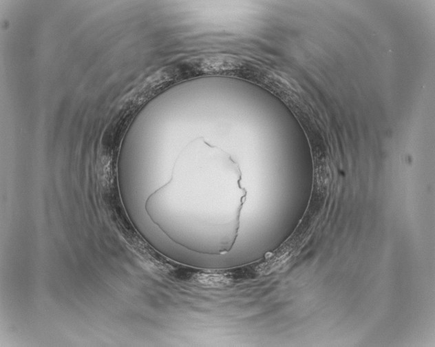 X0000087390327200705111807