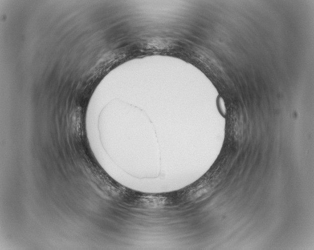 X0000087390328200705111807