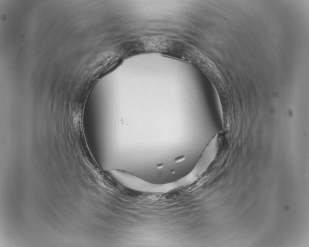 X0000087390329200705111807