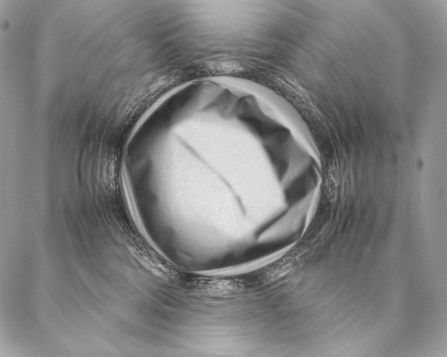 X0000087390330200705111807