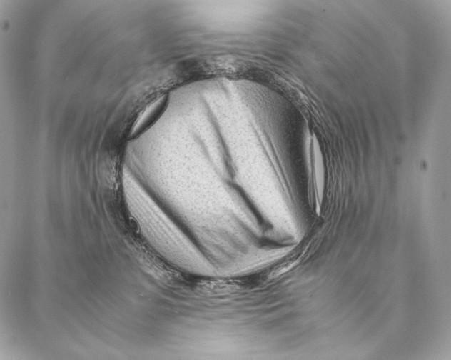 X0000087390331200705111807