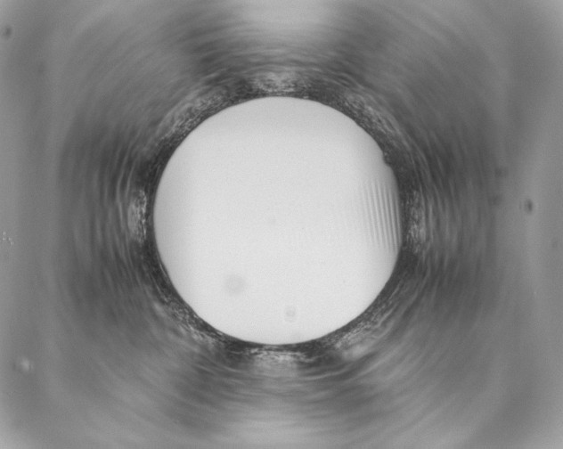 X0000087390332200705111807