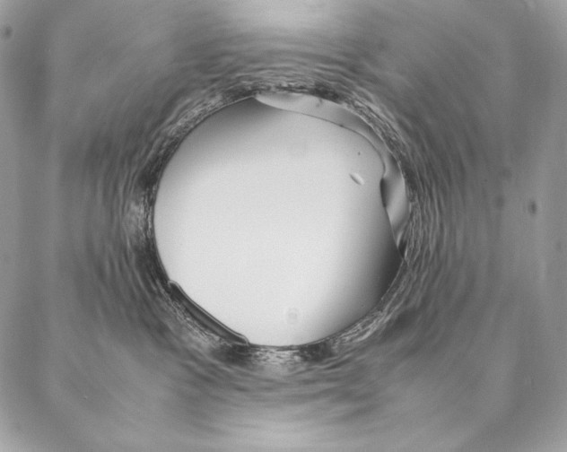 X0000087390333200705111807