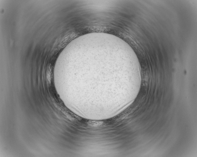 X0000087390334200705111807