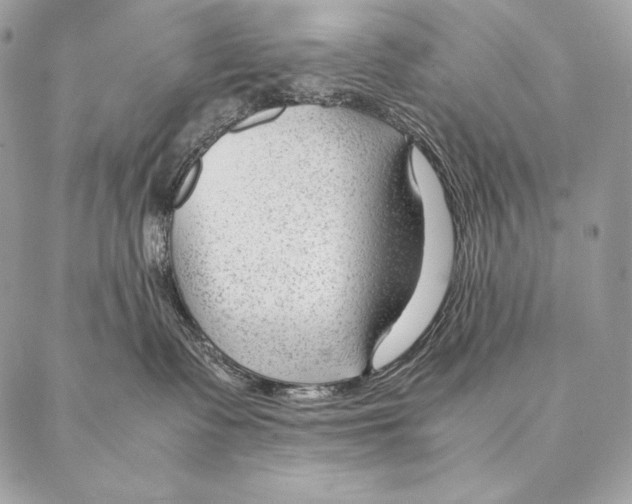 X0000087390335200705111807