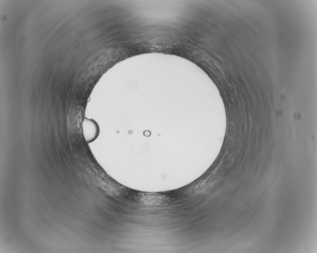 X0000087390336200705111807