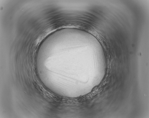 X0000087390337200705111806