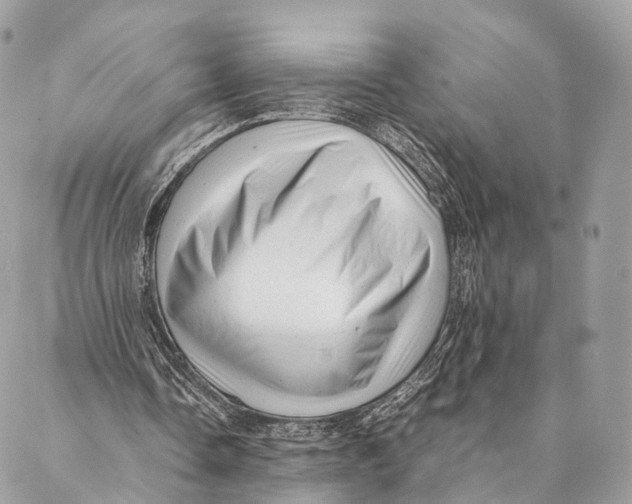 X0000087390338200705111806