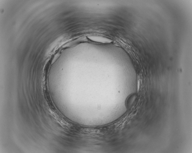 X0000087390339200705111806