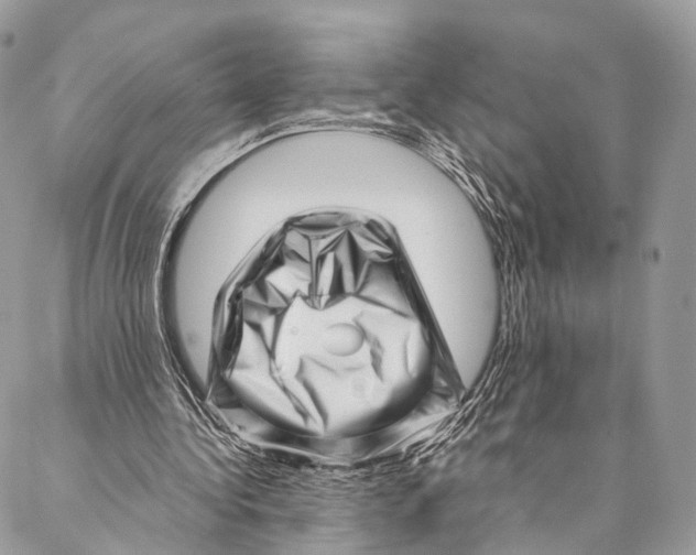 X0000087390340200705111806