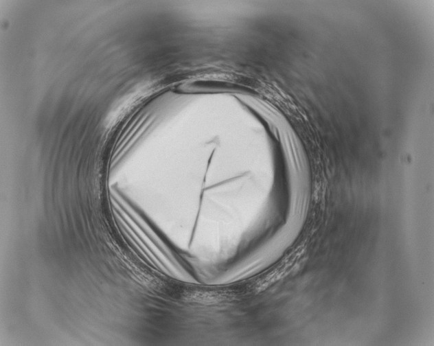 X0000087390341200705111806