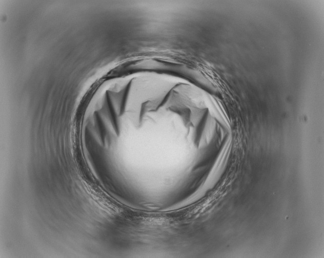 X0000087390342200705111806