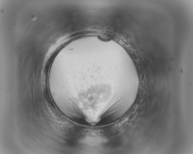 X0000087390343200705111806