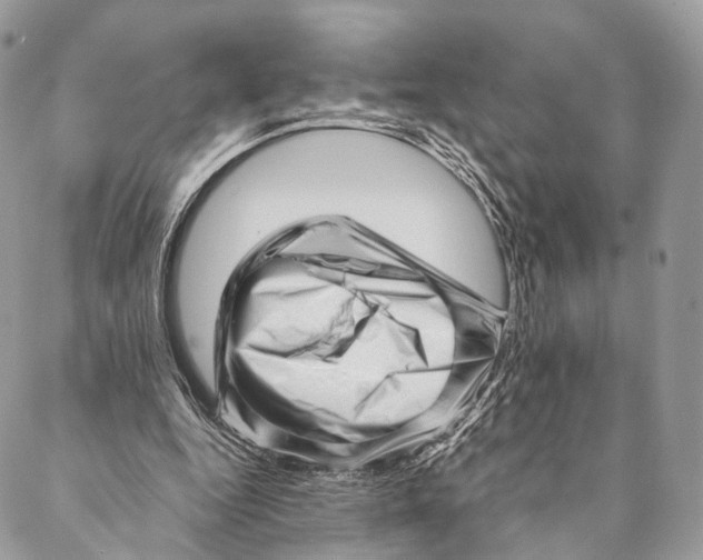 X0000087390344200705111806