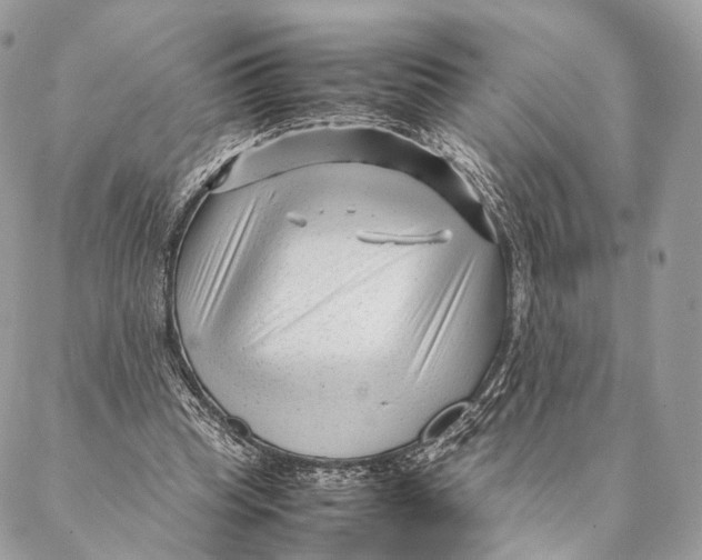 X0000087390345200705111806