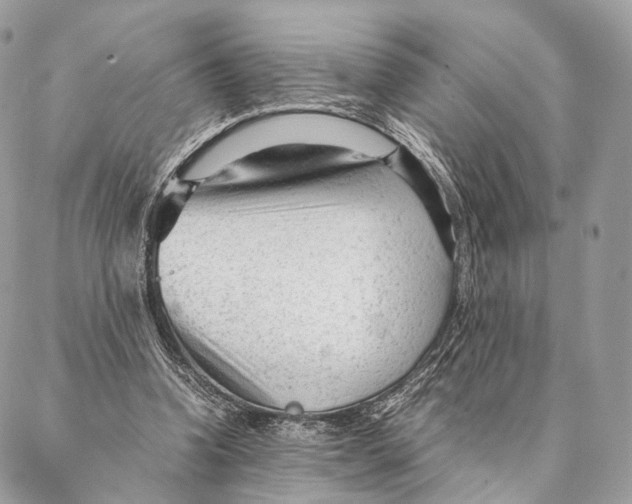 X0000087390346200705111806