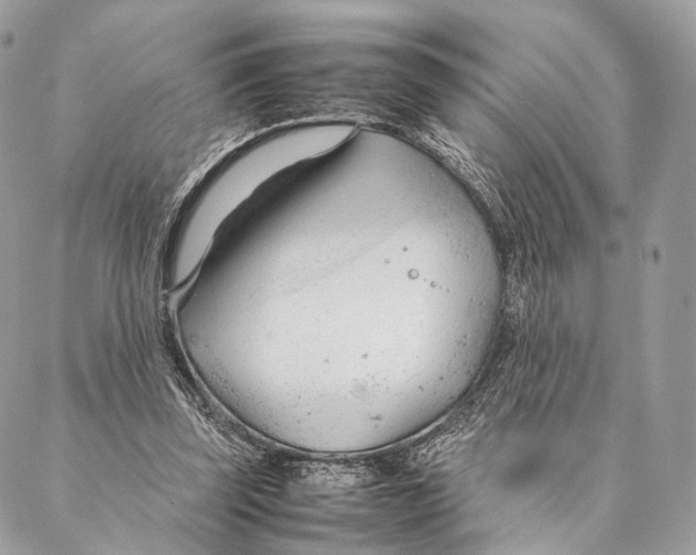 X0000087390347200705111806