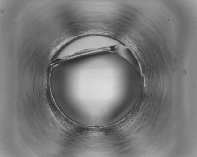 X0000087390348200705111806