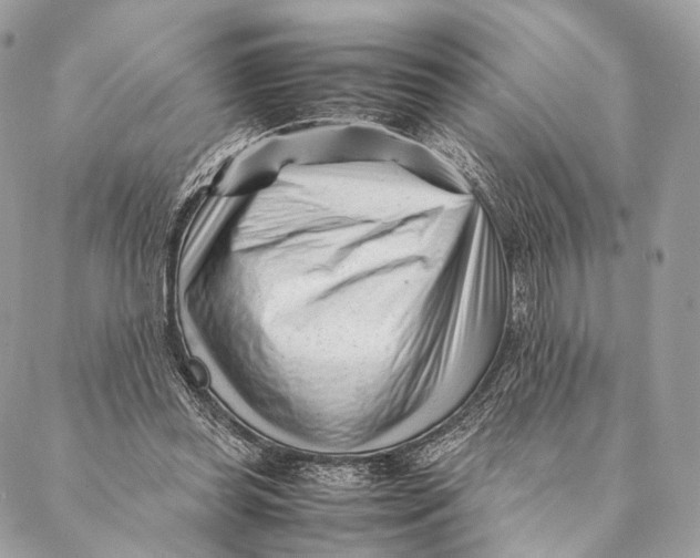 X0000087390349200705111806