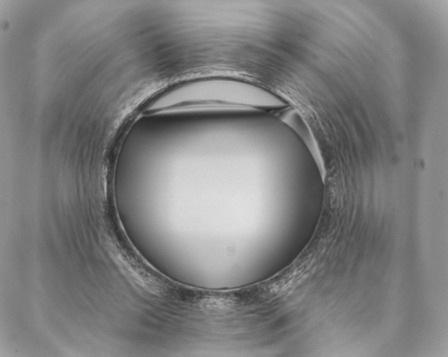 X0000087390350200705111806