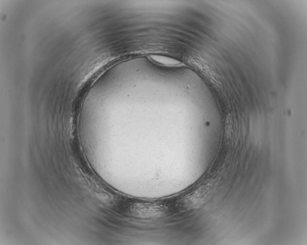 X0000087390351200705111806